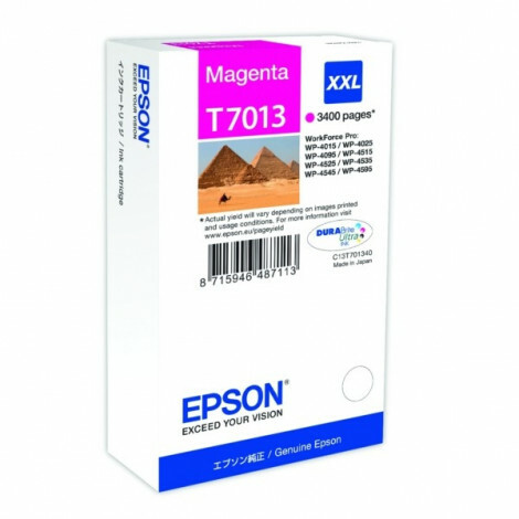 Epson - C13T70134010 - T7013 - Inktcartridge magenta