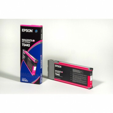 Epson - C13T544300 - T5443 - Inktcartridge magenta
