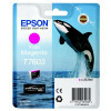 Epson - C13T76034010 - T7603 - Inktcartridge magenta